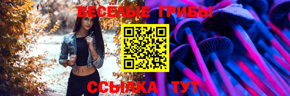 Новокубанск  Галлюциногенные грибы Magic Shrooms  Вход с VPN 